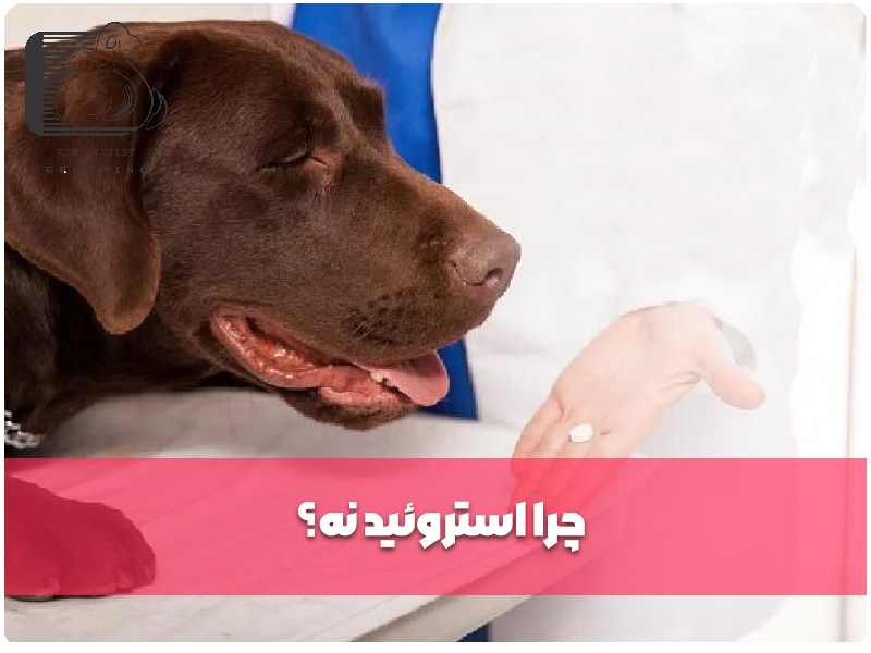 چرا استروئید نه؟